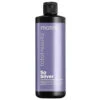 Masque So Silver Total Result 500 Ml